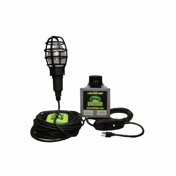 Single Light - standard bulb